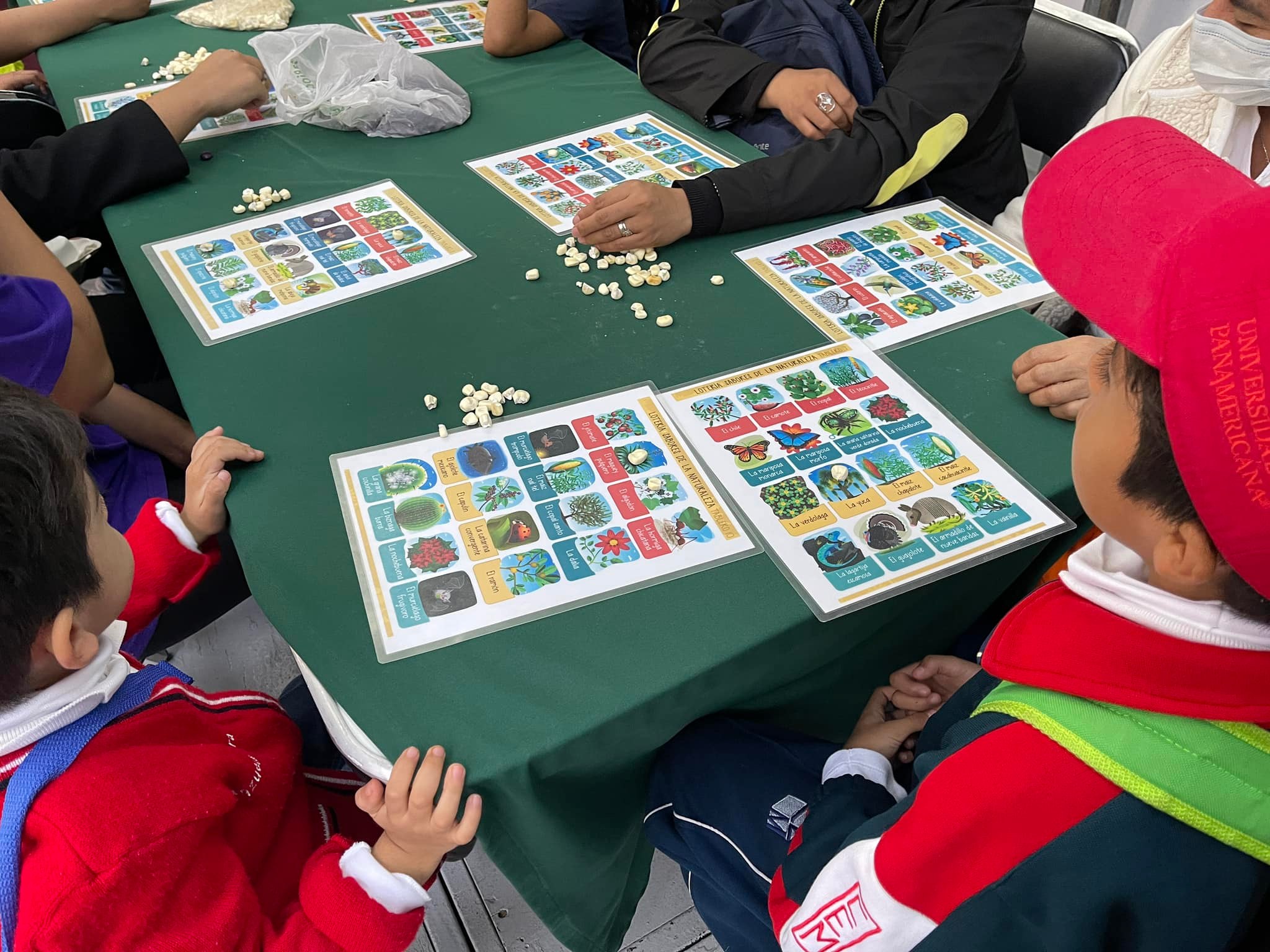 loteria de naturaleza.jpg